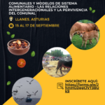 VI Seminario de Conservación Comunal en España